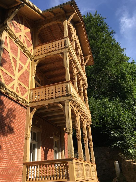 Willa Trebla Międzygórze Exterior foto