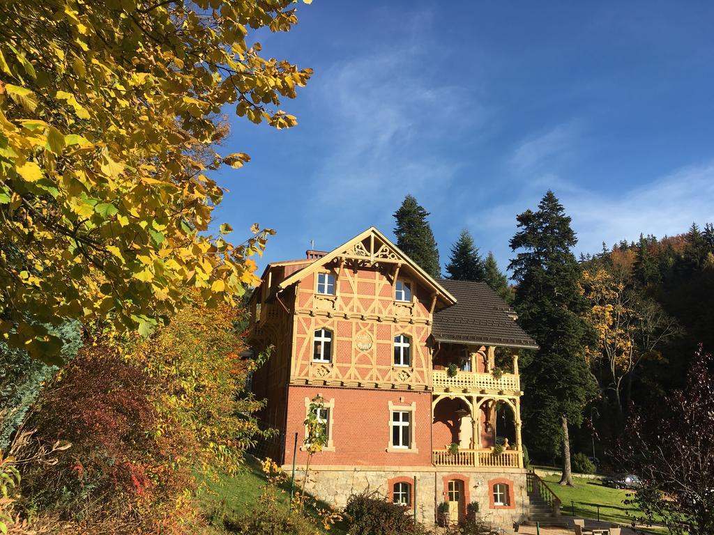 Willa Trebla Międzygórze Exterior foto
